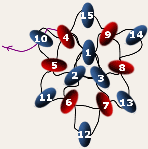 Cirkulr peyote, num ed 3 rader.