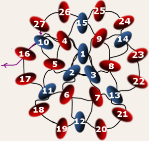 Cirkulr peyote nu med 4 rader.